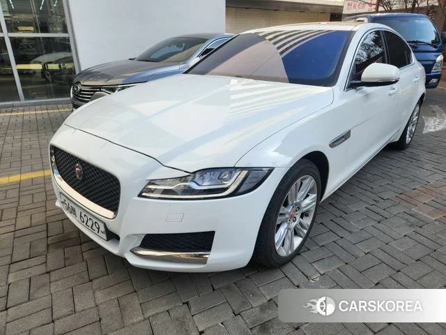 Jaguar XF (X260) 2018 Белый из Кореи, фото 3