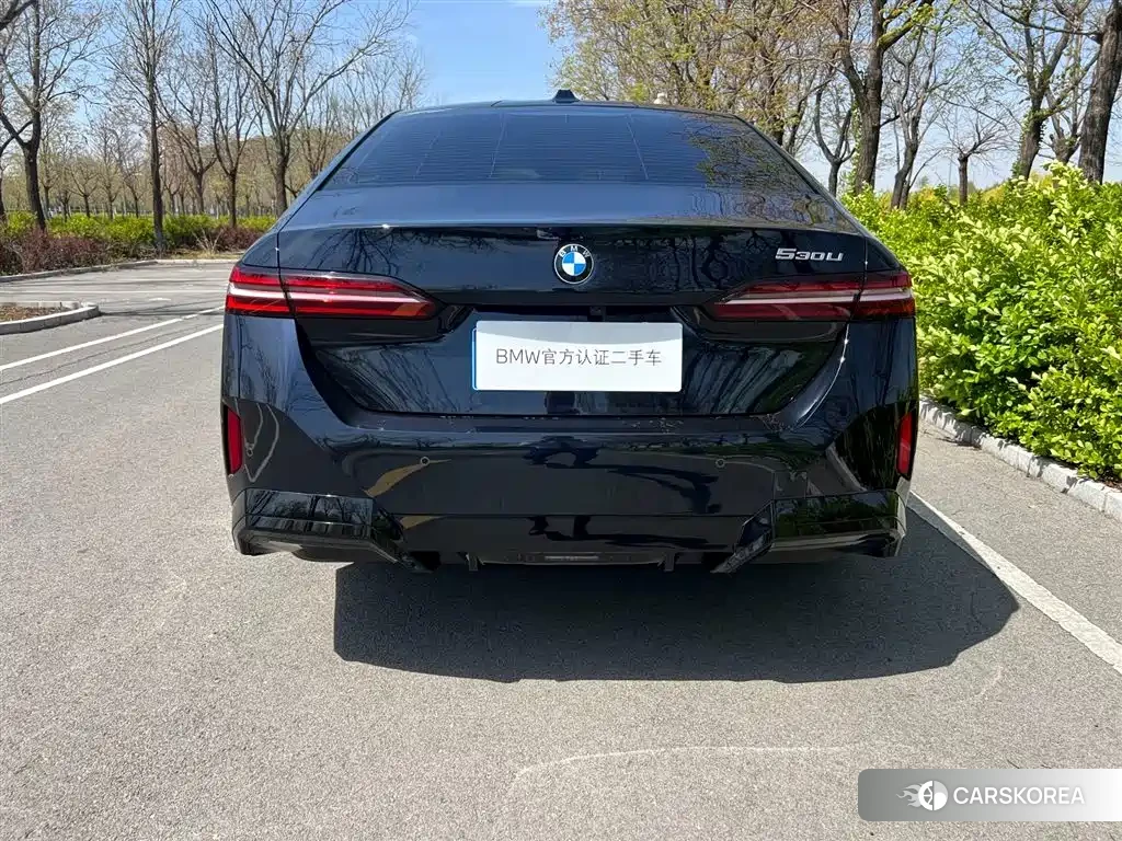 BMW 5 series id 4547285 из Китая 8