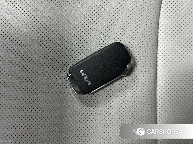Kia Lion Platinum expands the world id 4277449 из Китая 12