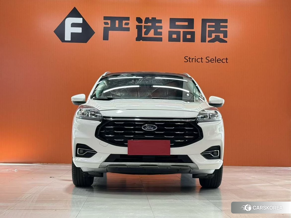 Ford Ruiji 2019 Белый из Китая, фото 2