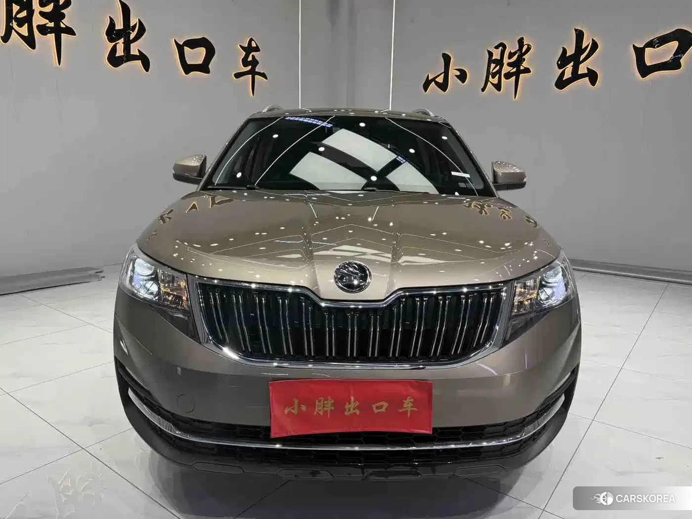 Skoda Komick id 4553973 из Китая 12