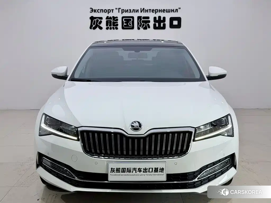 Skoda Speed pie id 4553642 из Китая 7