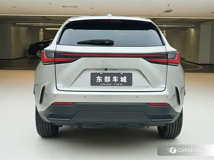 Lexus NX id 4539145 из Китая 12