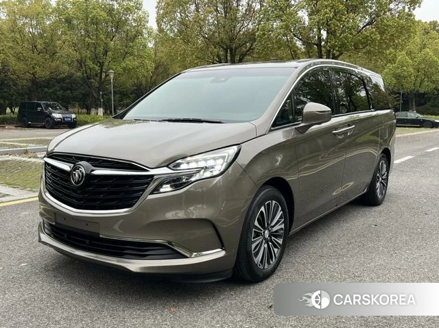 Buick GL8 id 4221281 из Китая 10