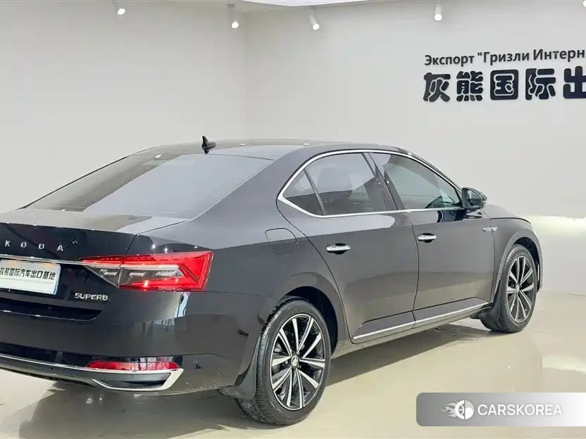 Skoda Speed pie id 4548301 из Китая 8