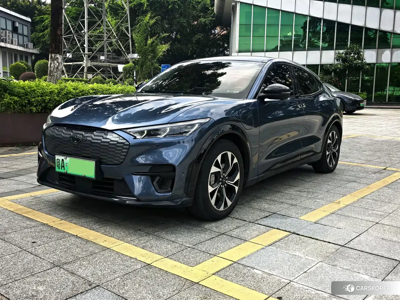 Ford Electric horse id 4674453 из Китая 11