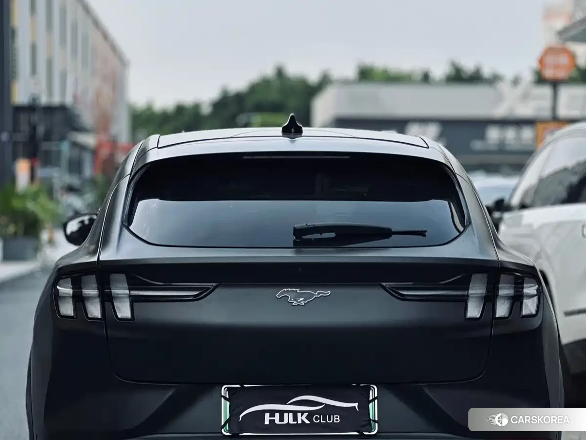 Ford Electric horse 2022 Черный из Китая, фото 2