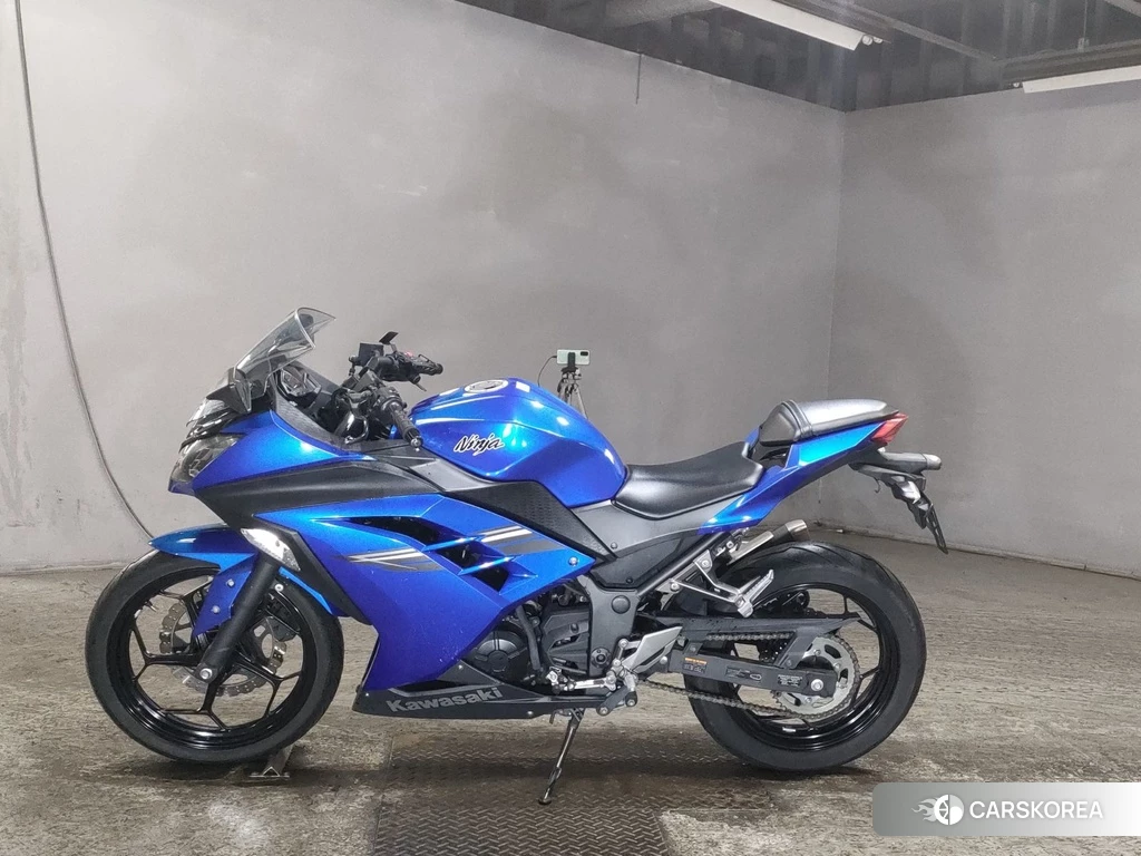 Проданный Kawasaki NINJA 250 2017 из Японии