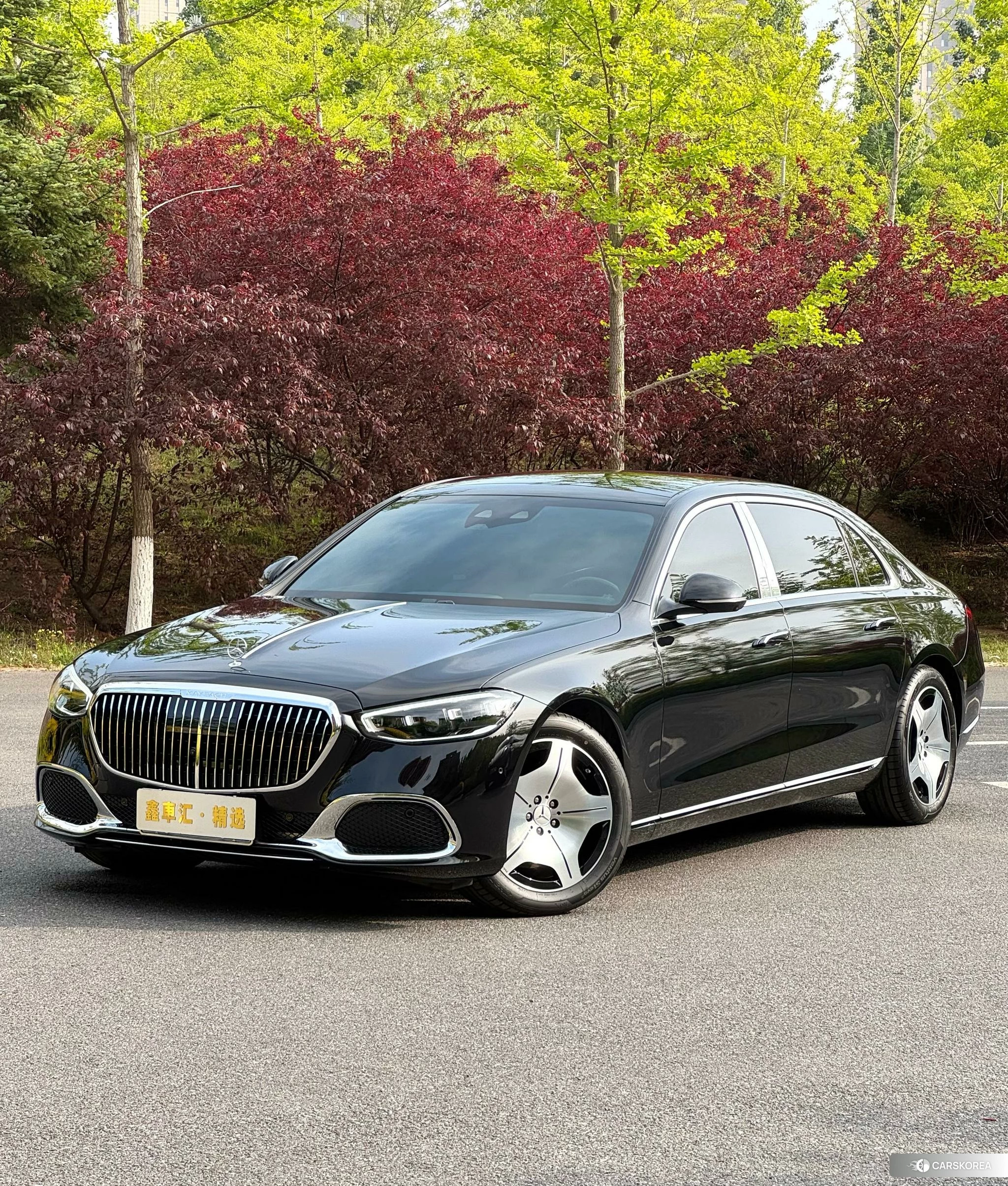 Mercedes-Benz Maybach S-class id 4454650 из Китая 10