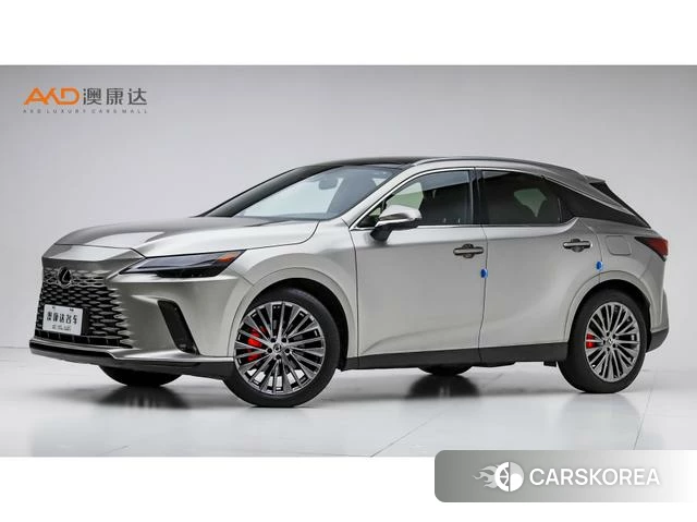 Lexus RX PHEV 2024 Серебристо-серый из Китая, фото 2