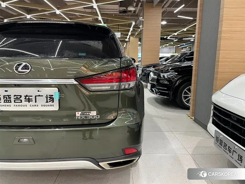 Lexus RX id 4546026 из Китая 7