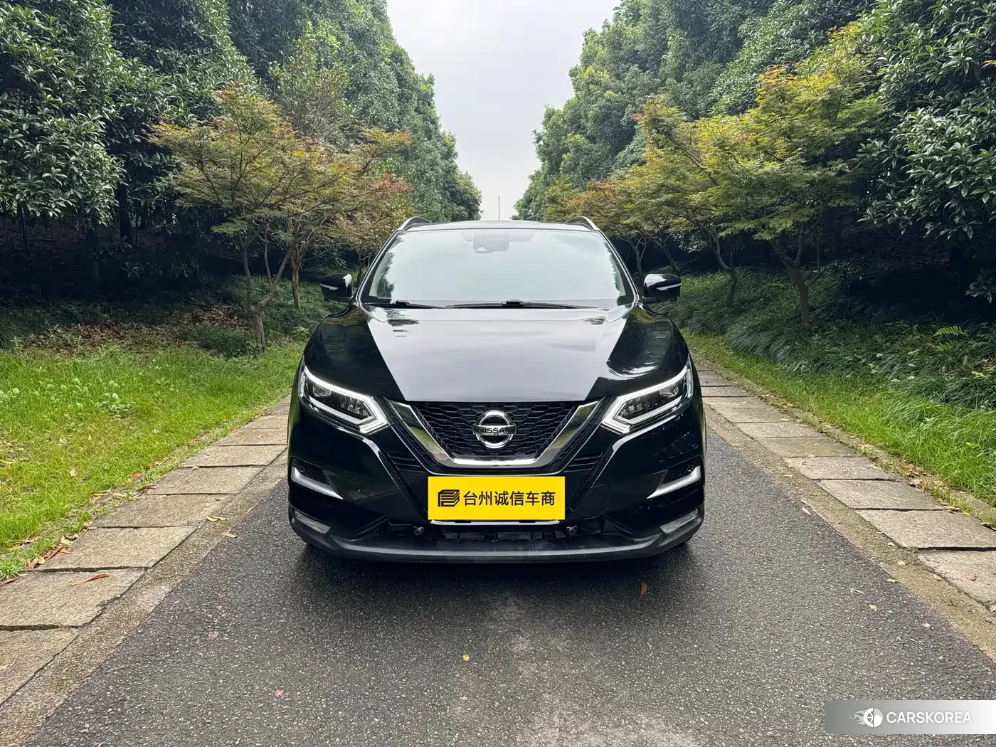 Nissan Qashqai id 4601048 из Китая 12