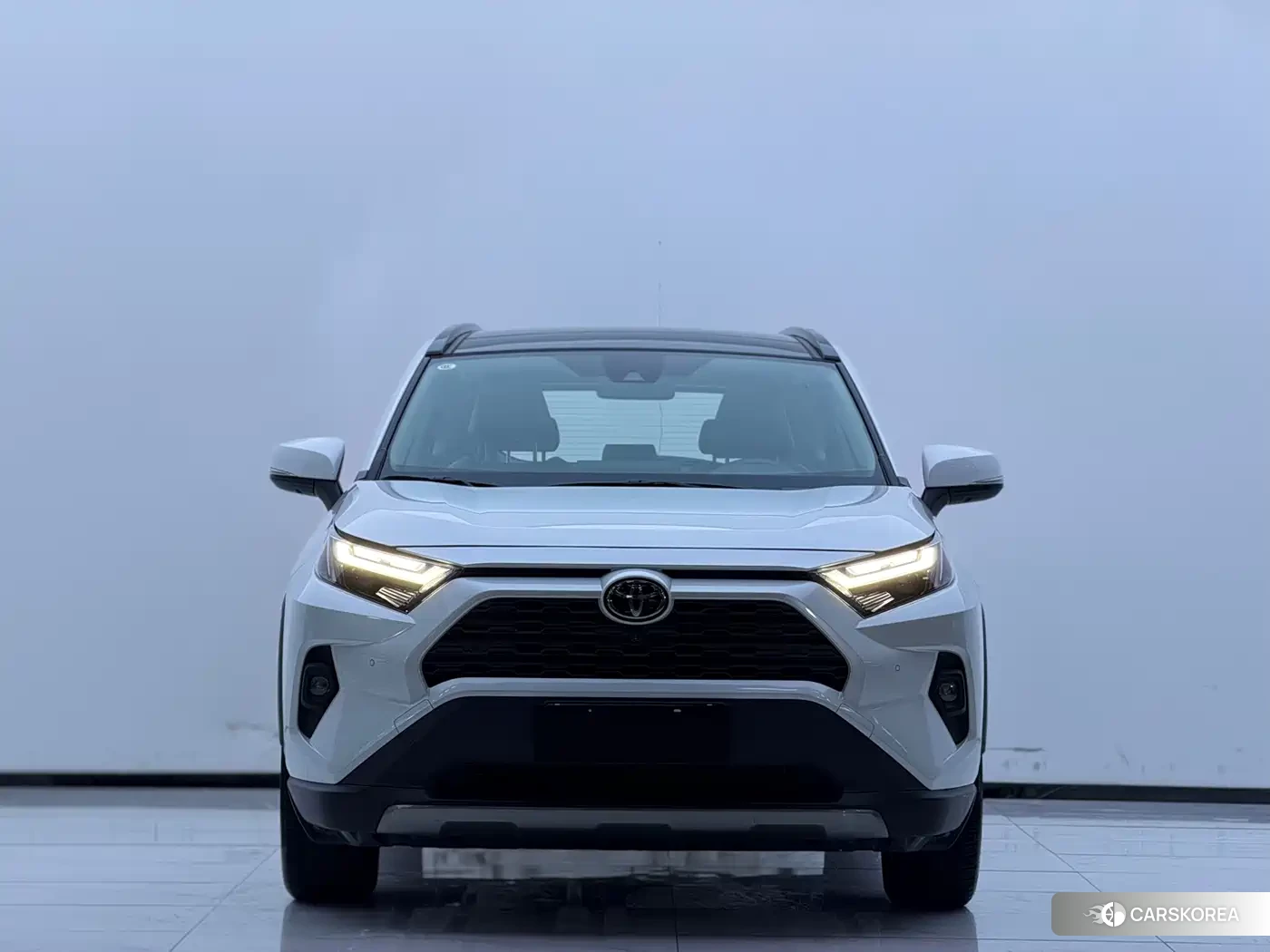 Toyota RAV4 id 4601119 из Китая 12