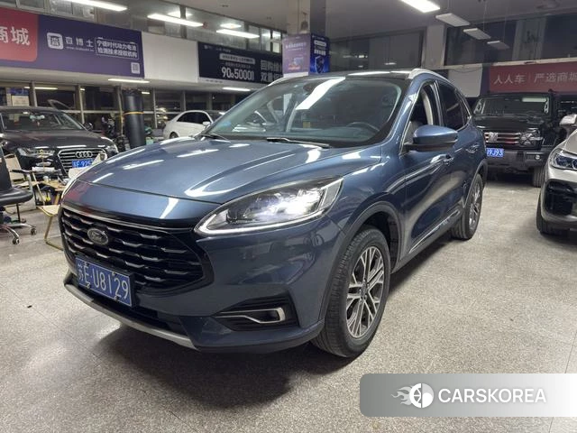 Ford Ruiji 2023 Синий из Китая, фото 5