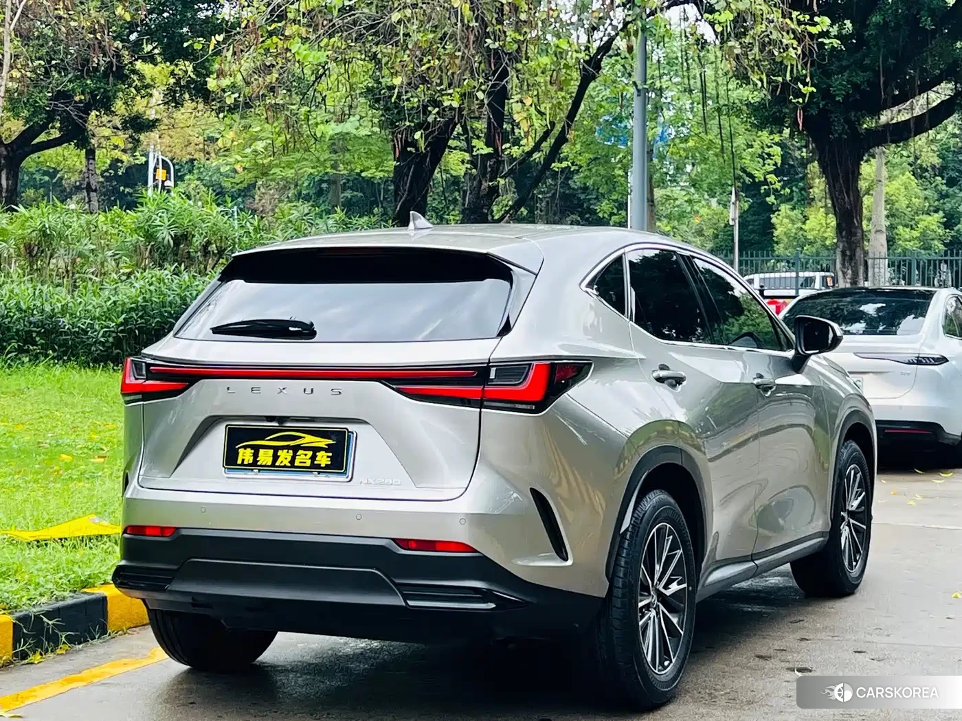 Lexus NX id 4548261 из Китая 12