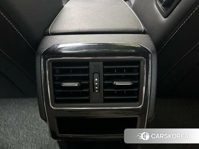 Skoda Speed pie id 4221421 из Китая 12
