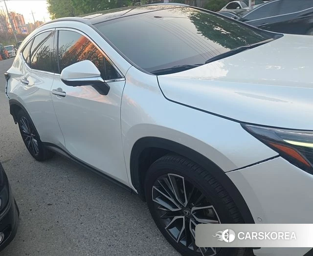 Lexus NX350h Second generation 2023 Белый из Кореи, фото 2