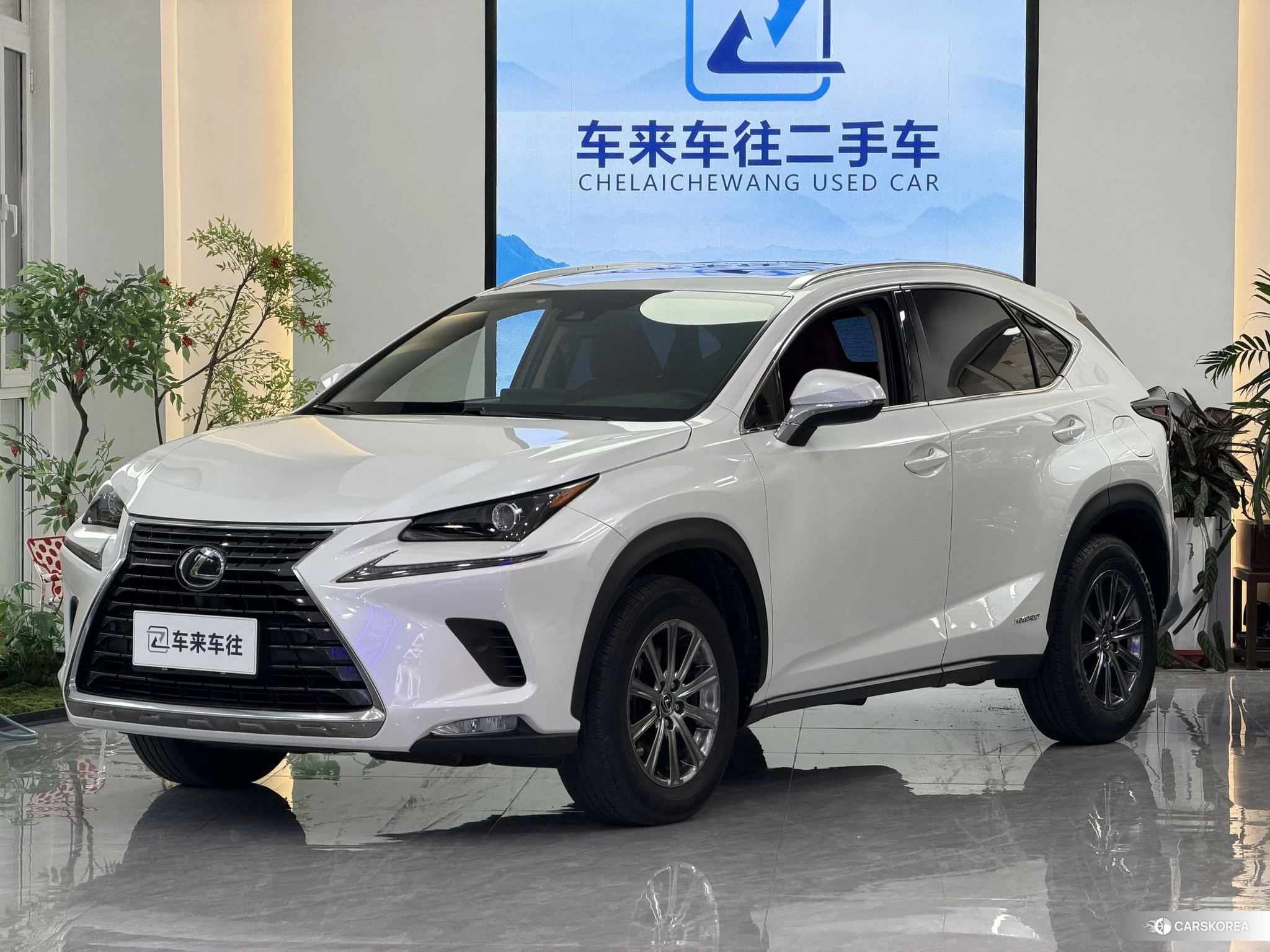 Lexus NX id 4512863 из Китая 12