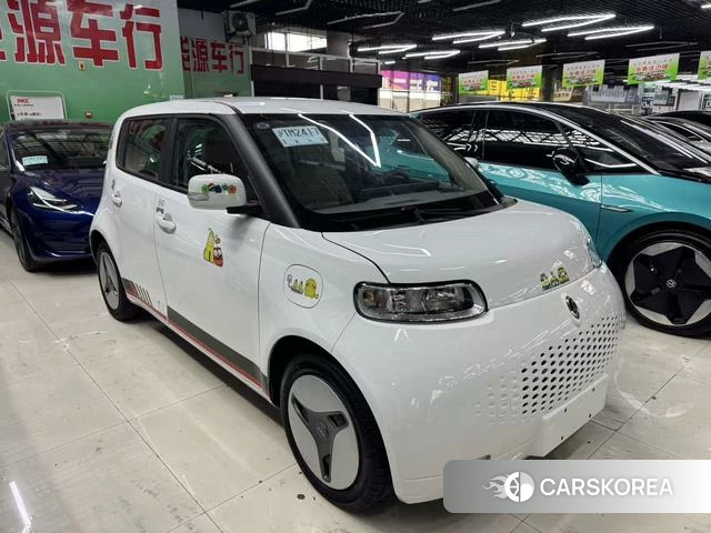 Euler White cat 2021 Белый из Китая, фото 3