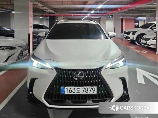 Lexus NX350h Second generation 2025 Белый из Кореи, фото 5