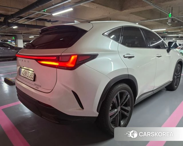 Lexus NX350h Second generation 2025 Белый из Кореи, фото 2