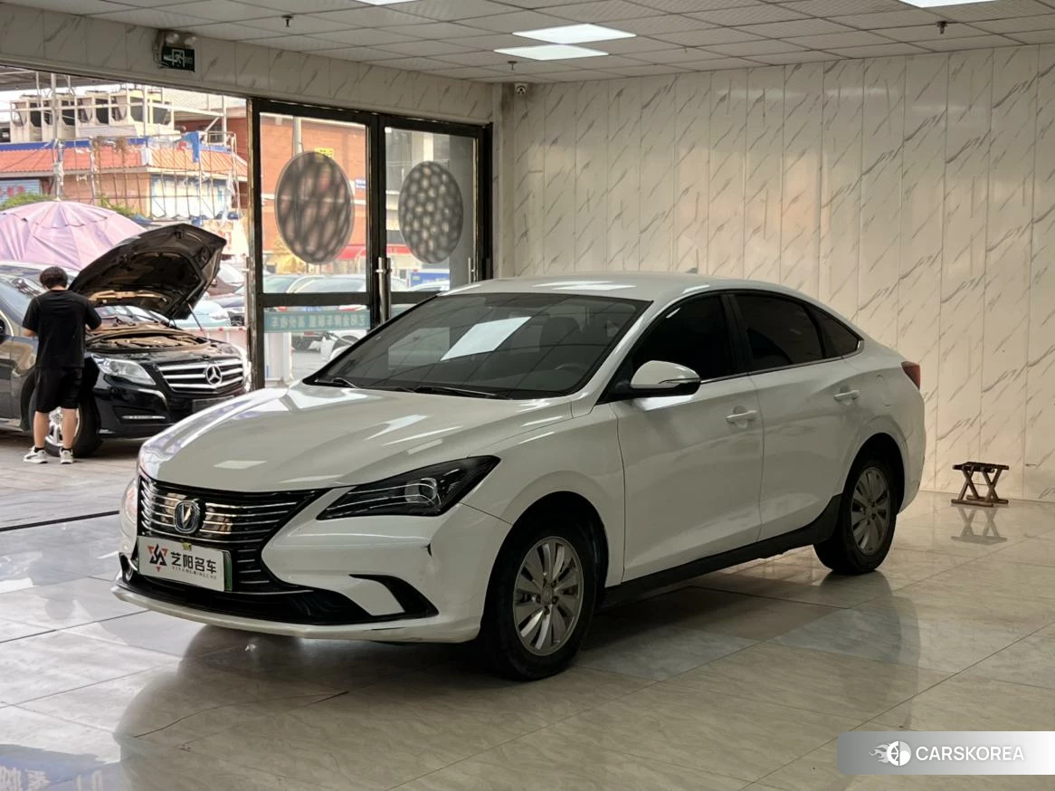 Chang'an Yidong EV 2018 Белый из Китая, фото 2