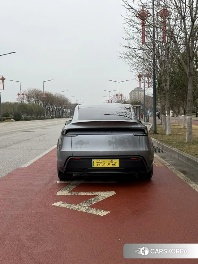 Tesla Model Y 2025 Серебристо-серый из Китая, фото 2