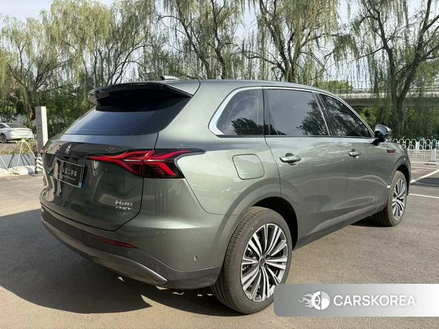 Red flag HS6 PHEV 2026 Зеленый из Китая, фото 3