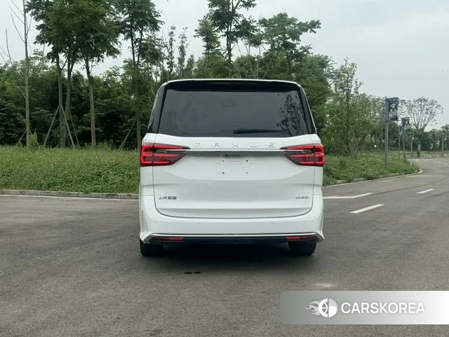 Chase G20 2019 Белый из Китая, фото 5