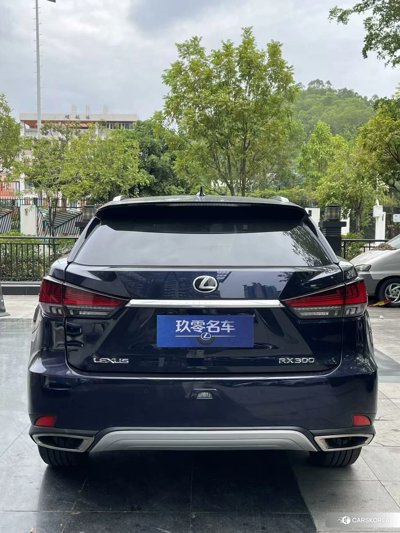 Lexus RX 2020 Синий из Китая, фото 2