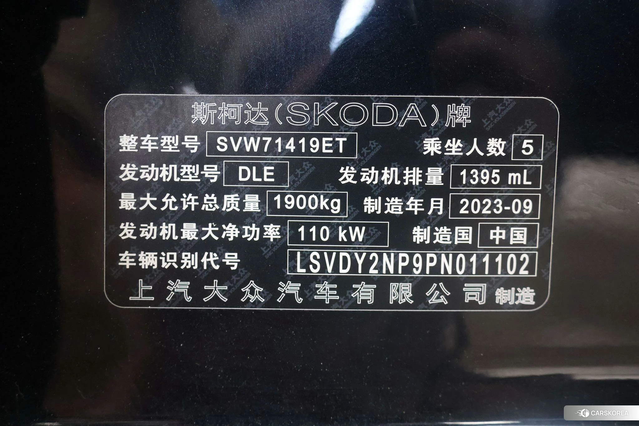 Skoda Speed pie id 4486164 из Китая 7