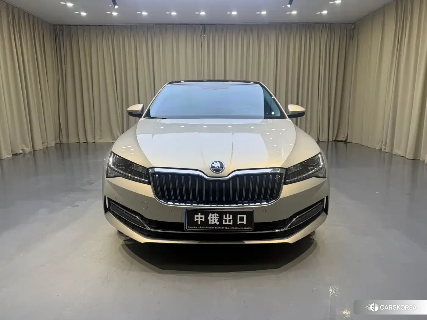 Skoda Speed pie id 4553739 из Китая 10