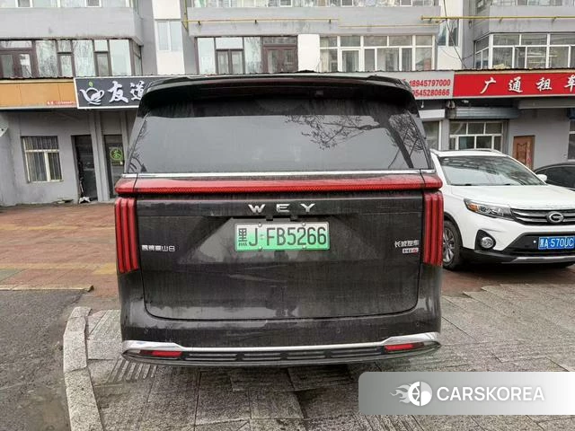 Wei Pai Takayama 2025 Черный из Китая, фото 2