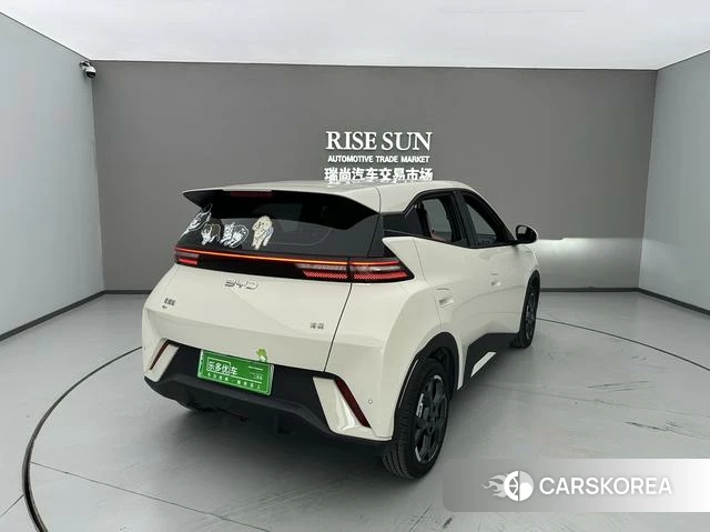 BYD Seagull 2024 Белый из Китая, фото 2