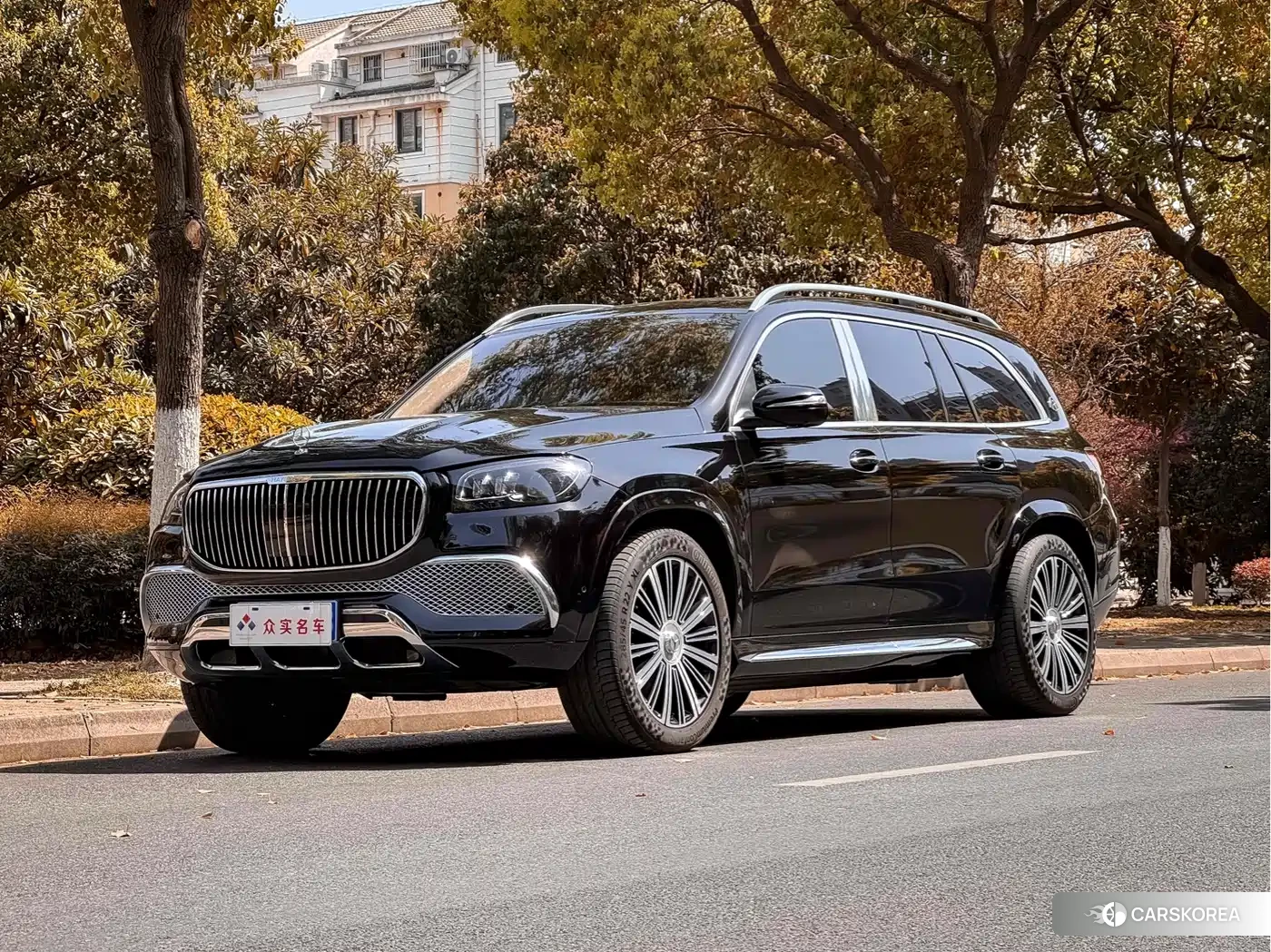 Mercedes-Benz Maybach GLS 2023 Черный из Китая, фото 2
