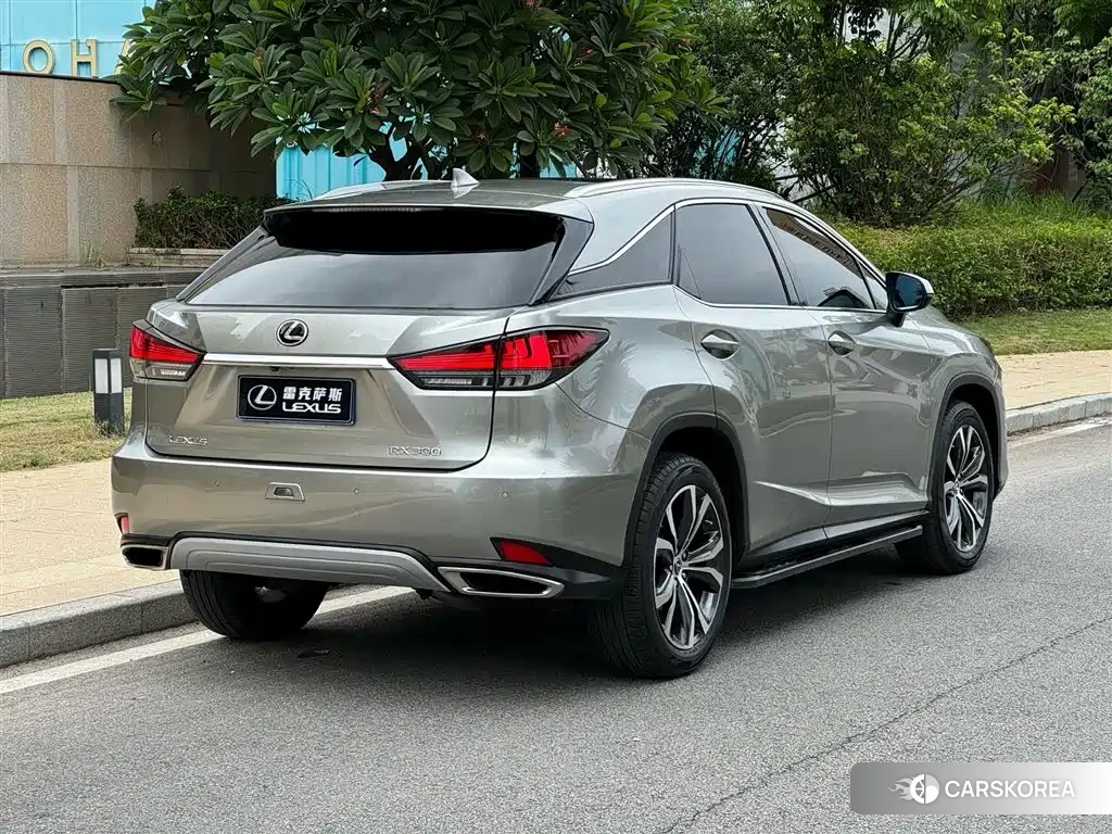 Lexus RX 2021 Silver/gray из Китая, фото 2