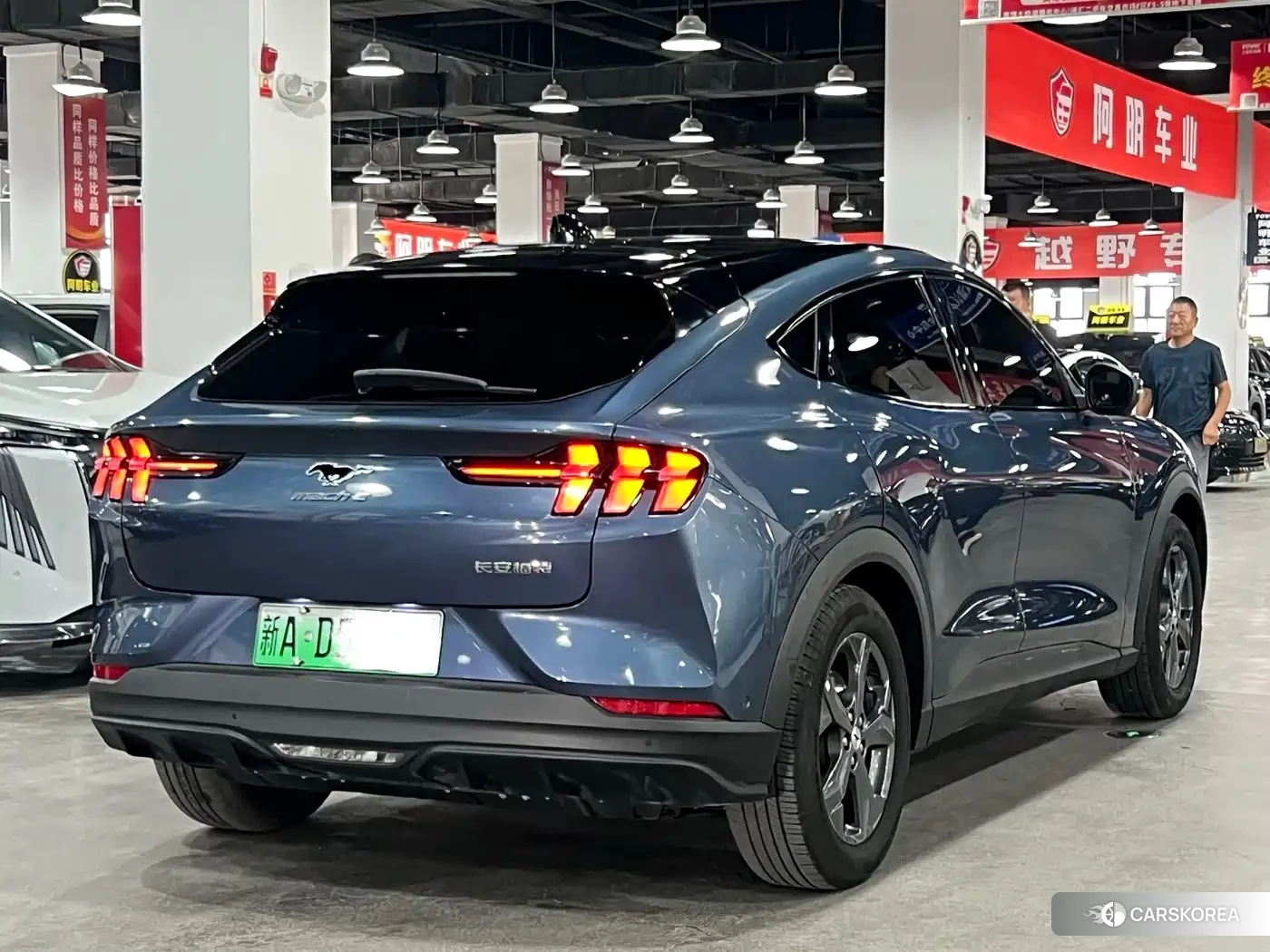 Ford Electric horse 2023 Синий из Китая, фото 2