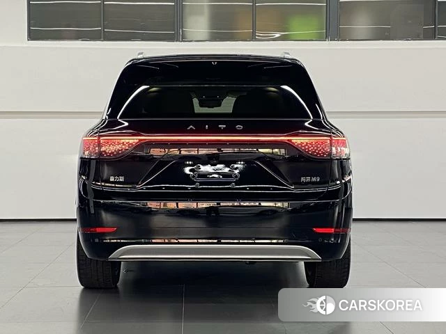 AITO Ask the world M9 id 4198839 из Китая 12