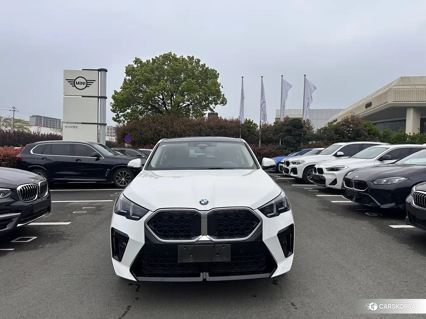 BMW X2 2025 Белый из Китая, фото 2