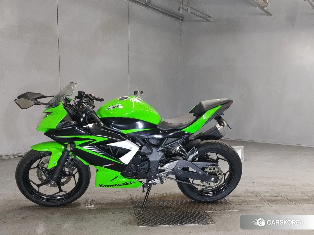 Проданный Kawasaki NINJA 250SL 2015 из Японии