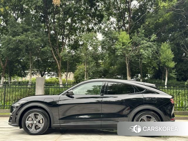 Ford Electric horse id 4394074 из Китая 11