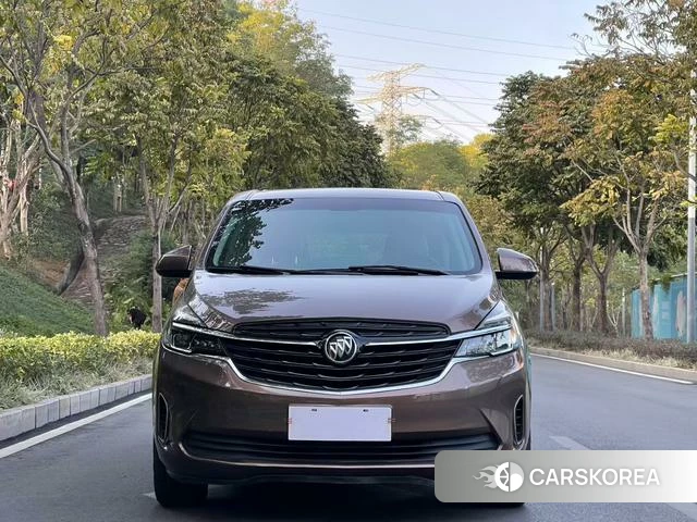 Buick GL8 2020 Коричневый из Китая, фото 2