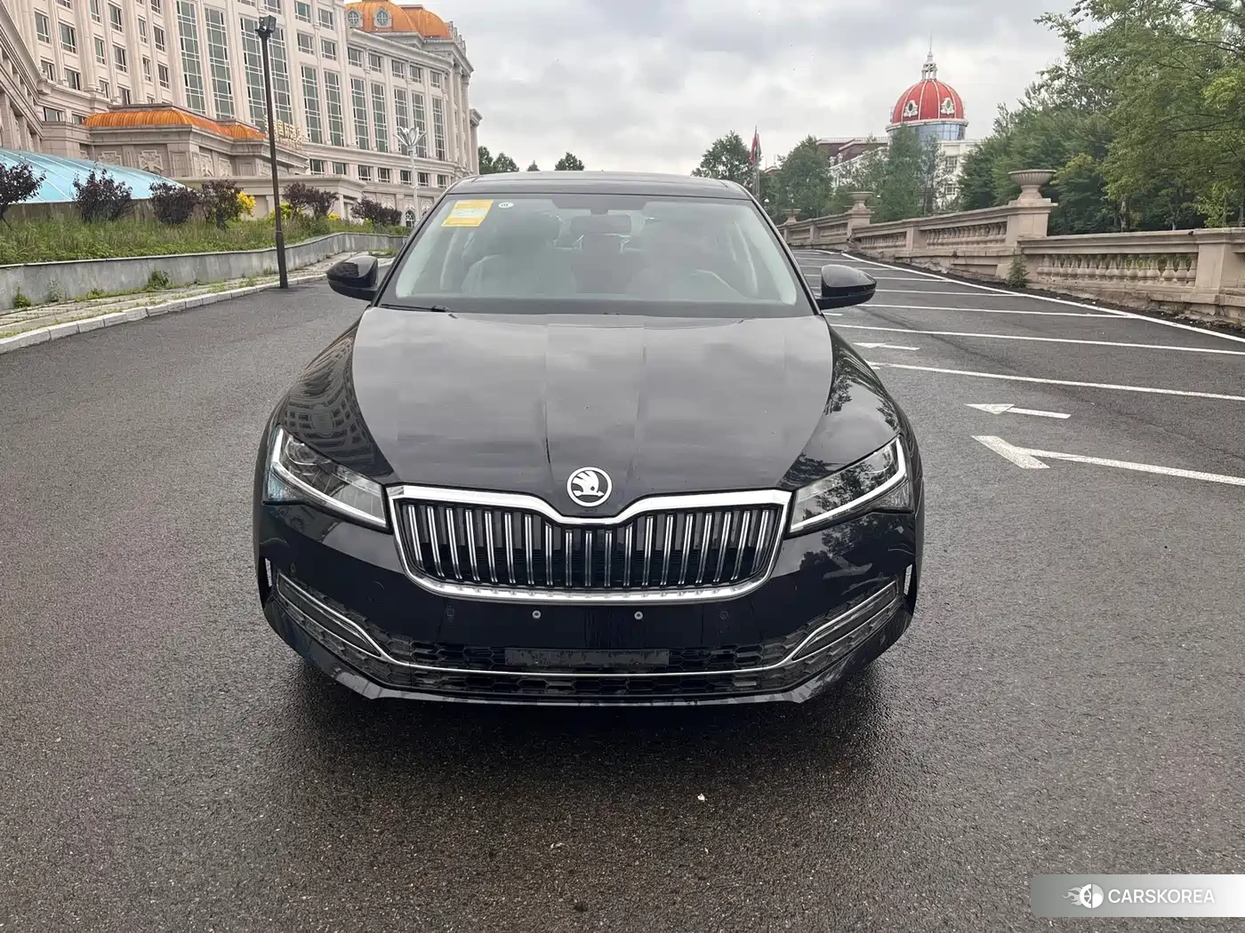 Skoda Speed pie id 4538584 из Китая 7