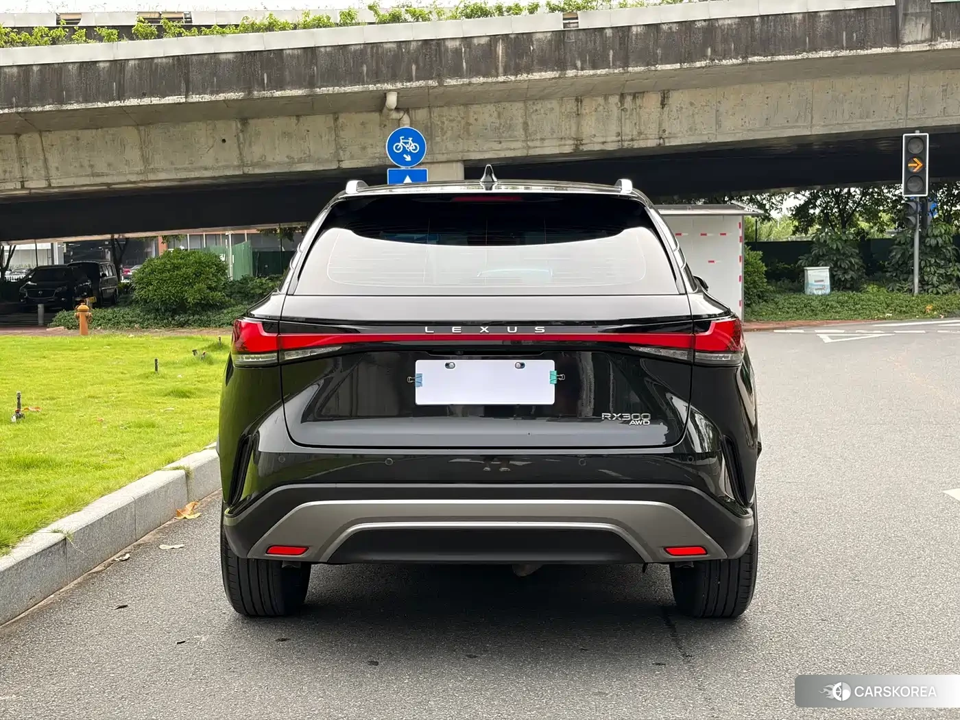 Lexus RX id 4601787 из Китая 12