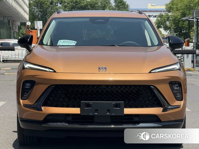 Buick Angkewei S id 4211314 из Китая 12