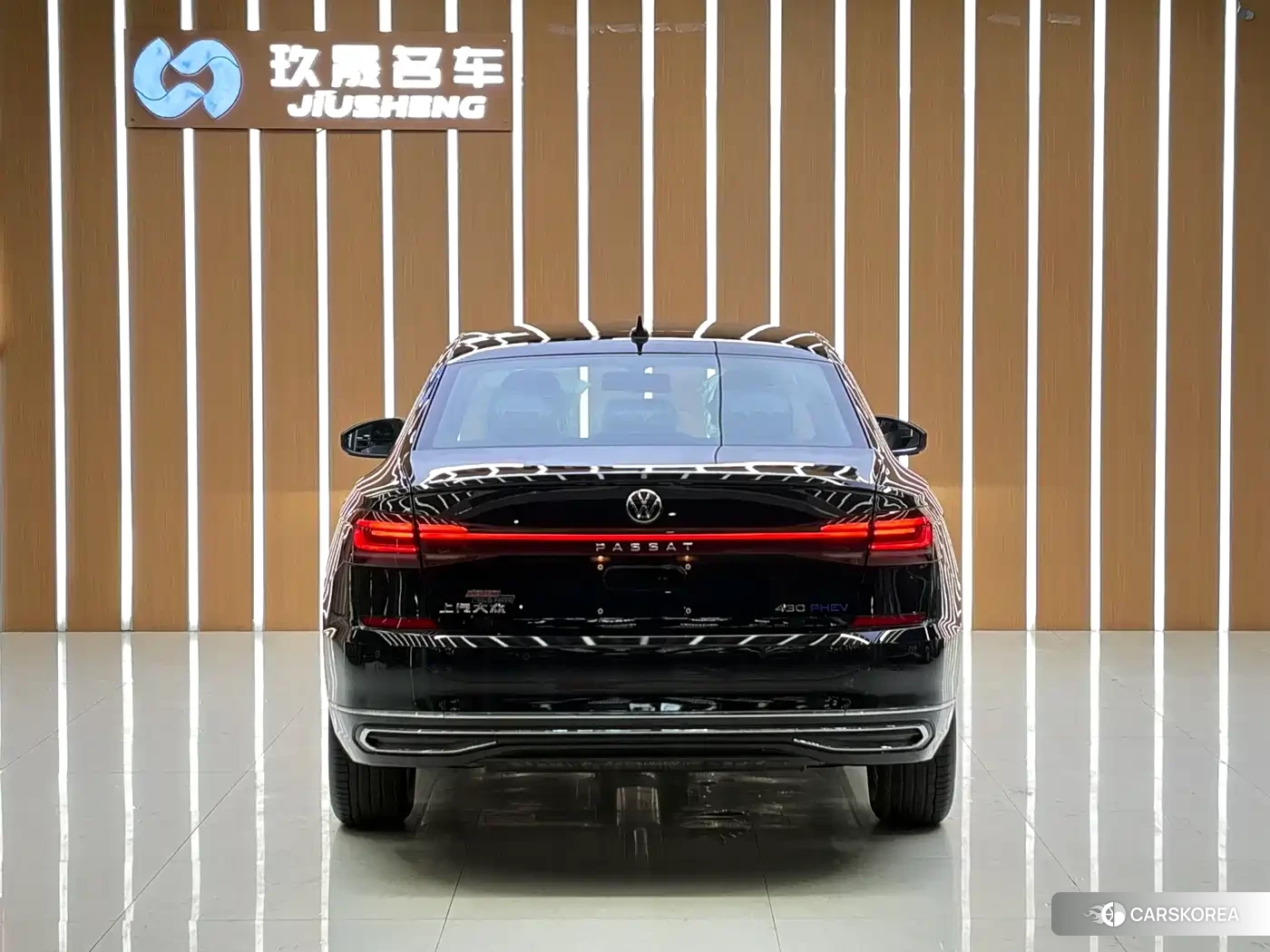 Volkswagen Passat plug-in hybrid id 4539446 из Китая 8