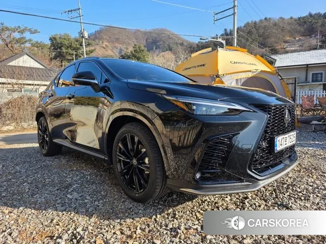 Lexus NX450h + 2nd generation 2025 Черный из Кореи, фото 2