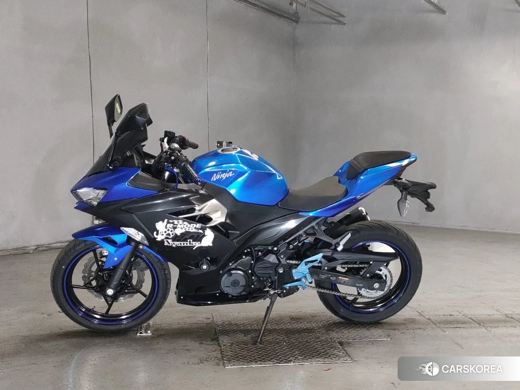 Проданный Kawasaki NINJA 250 2018 из Японии