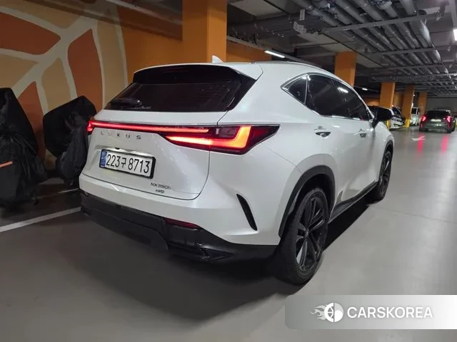 Lexus NX350h Second generation 2024 Белый из Кореи, фото 6