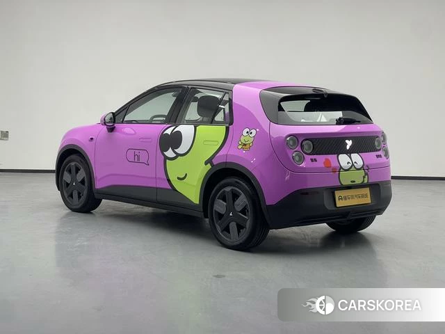 firefly firefly Unknown id 4026778 из Китая 12